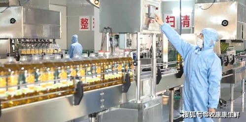 第23屆中國(guó)農(nóng)產(chǎn)品加工業(yè)投資貿(mào)易洽談會(huì)即將在駐馬店隆重舉行