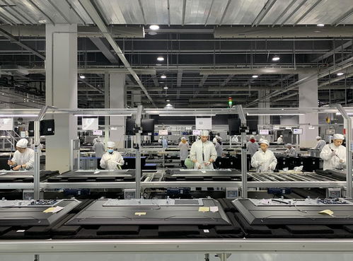 綿陽躋身國(guó)家級(jí)外貿(mào)基地序列，依托產(chǎn)業(yè)優(yōu)勢(shì)驅(qū)動(dòng)進(jìn)出口增長(zhǎng)